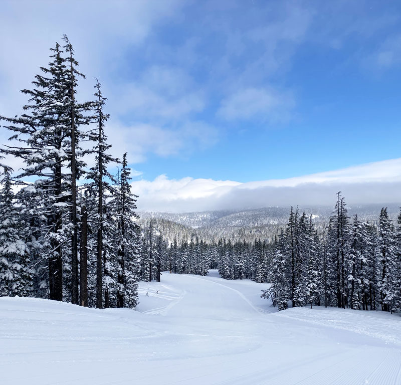 view of a nordic ski trail, one of the things in Bend Oregon in winter