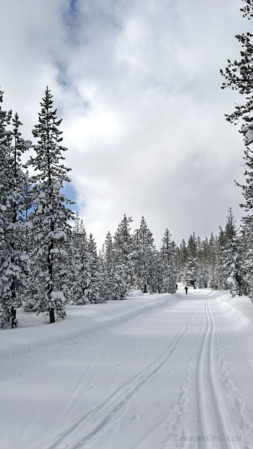 person XC skiing in the distance on a groomed trail, one of the must do things to do in Bend, Oregon in winter