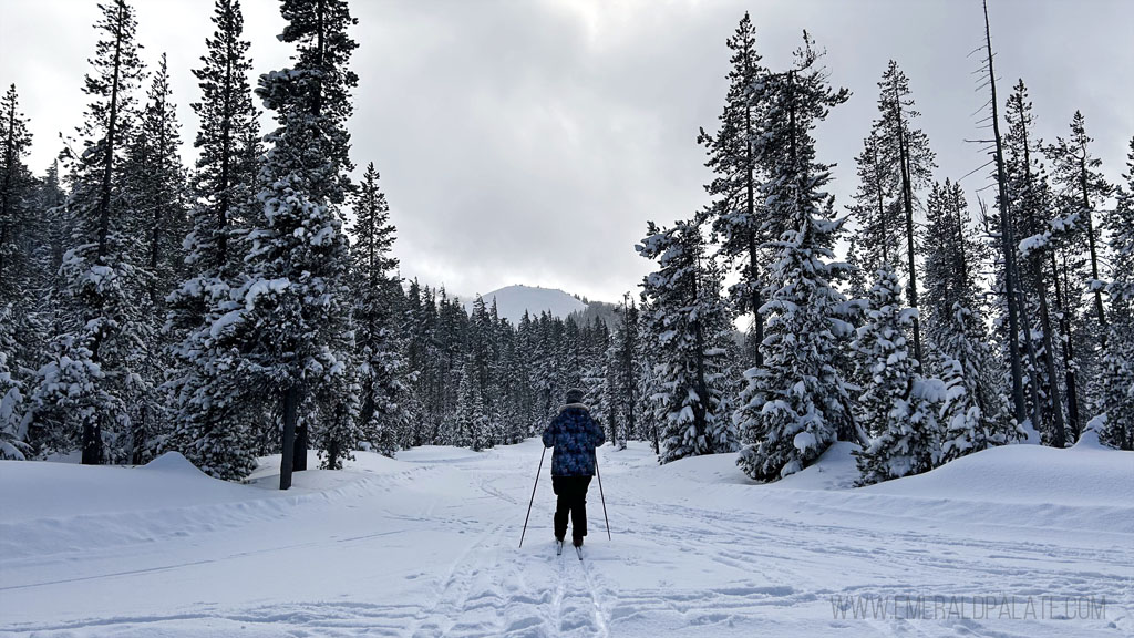 woman nordic skiing at Mt Bachelor Nordic Center, one of the best things to do in Bend, Oregon in winter