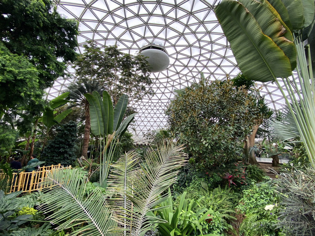 inside Bloedel Conservatory, a must do on a travel guide for Vancouver BC