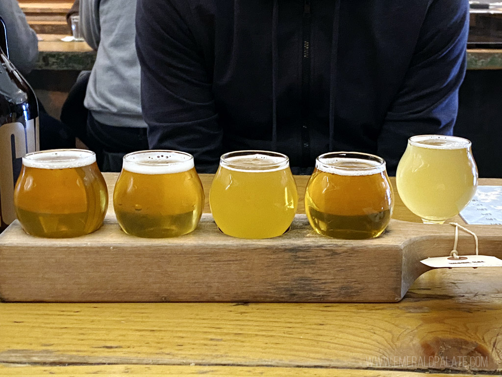 tasting flight from a Vancouver brewery