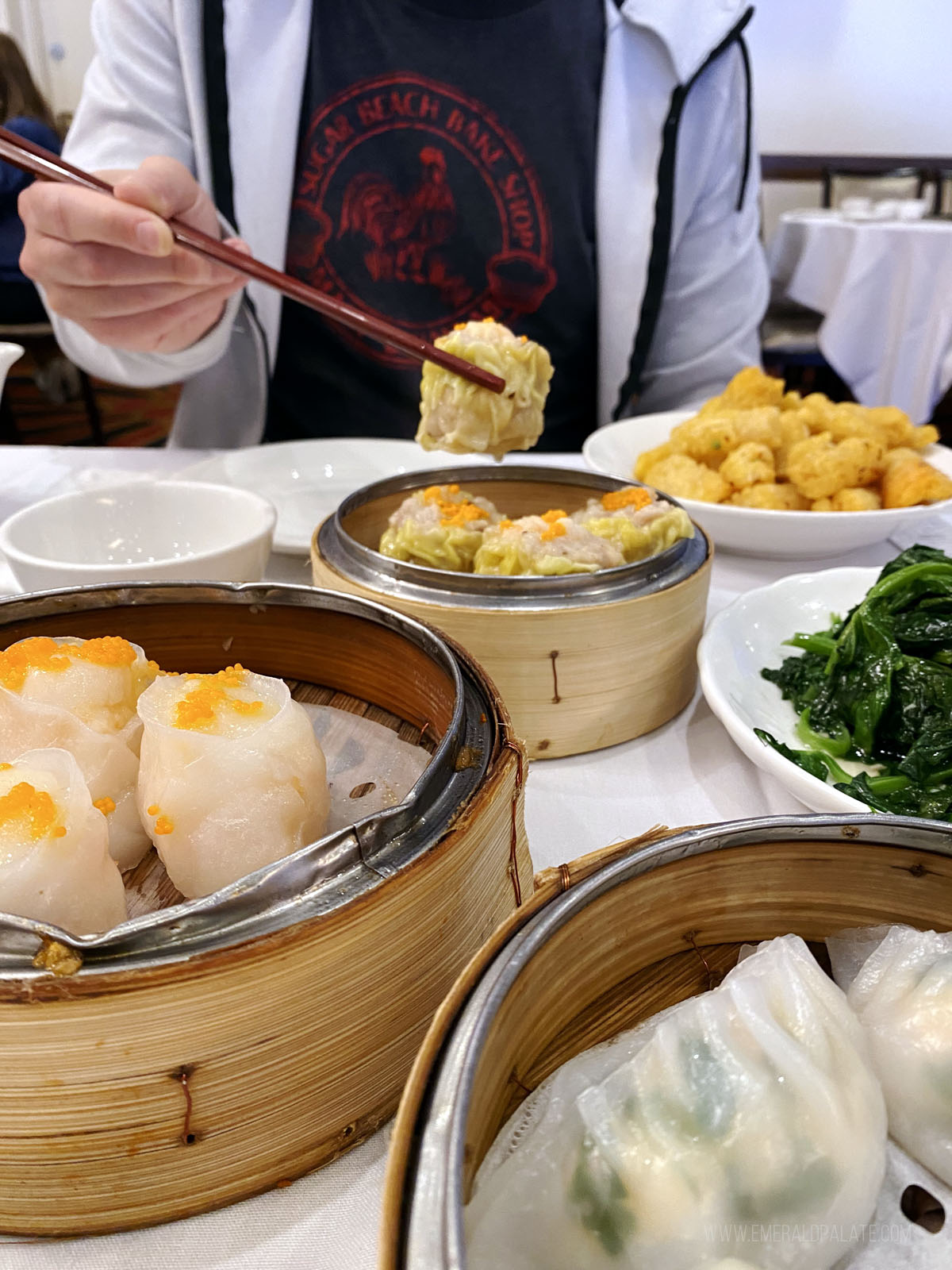 person picking up a dumpling with chopsticks from an Asian restaurant in Richmond BC