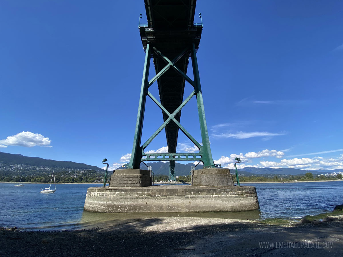 view underneath Lion's Gate Bridge in Vancouver, BC