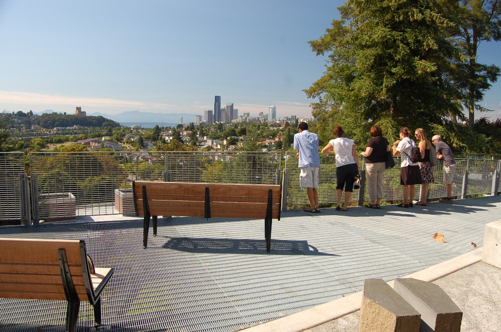 Mt Baker Viewpoint