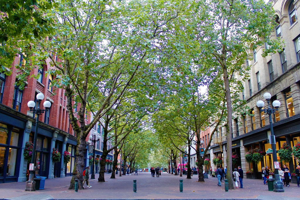 Occidental Square Seattle