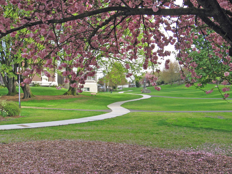 Columbia Park Seattle