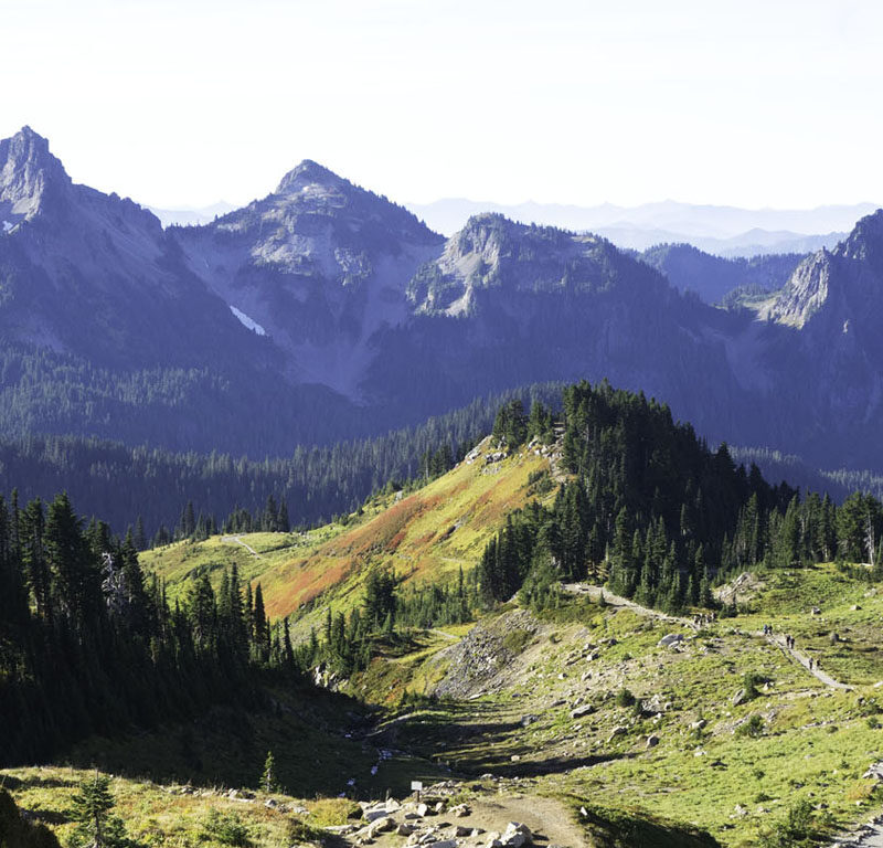 majestic mountain peak visible from many Pacific Northwest tours