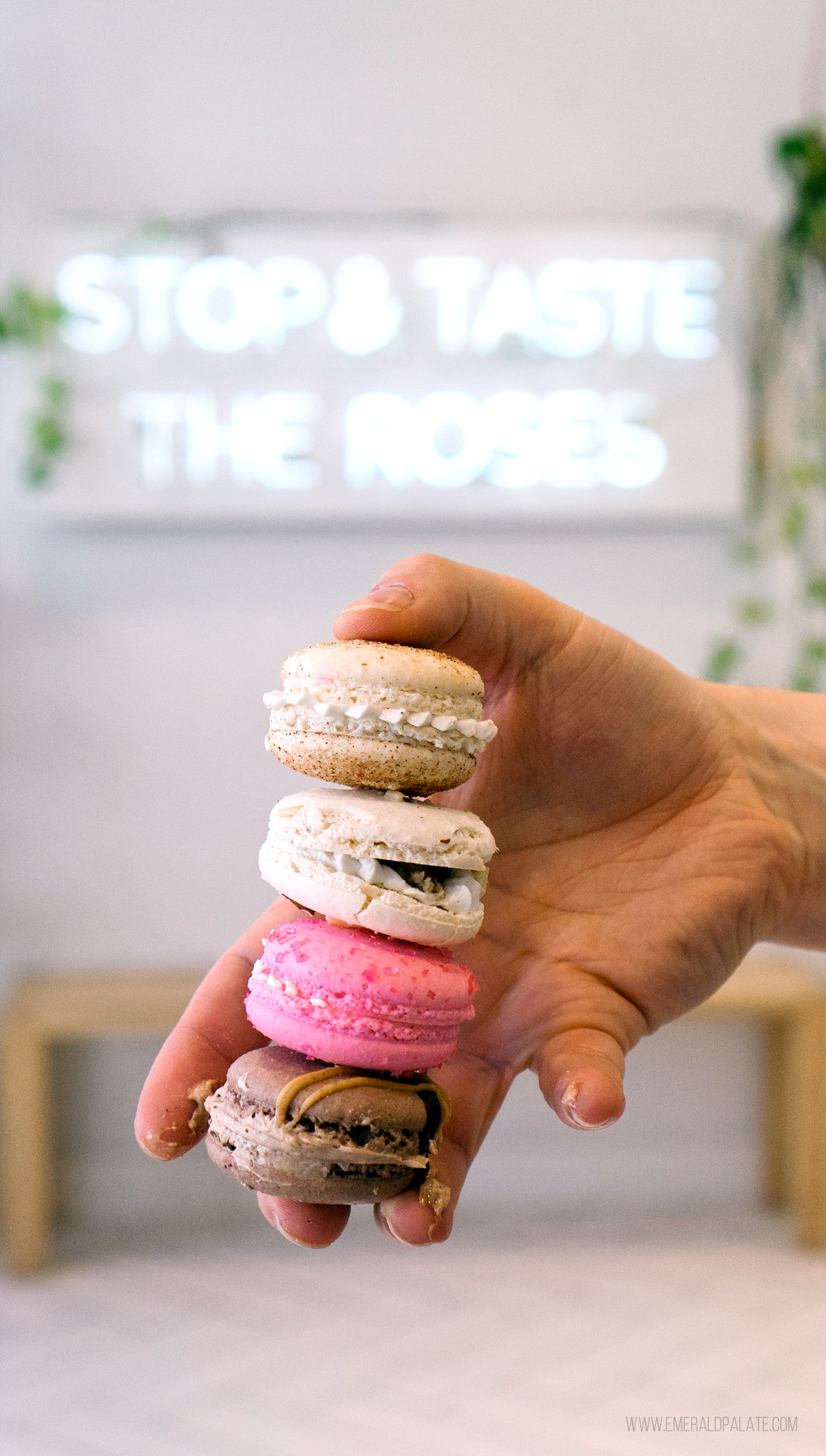 person holding a stack of four macarons