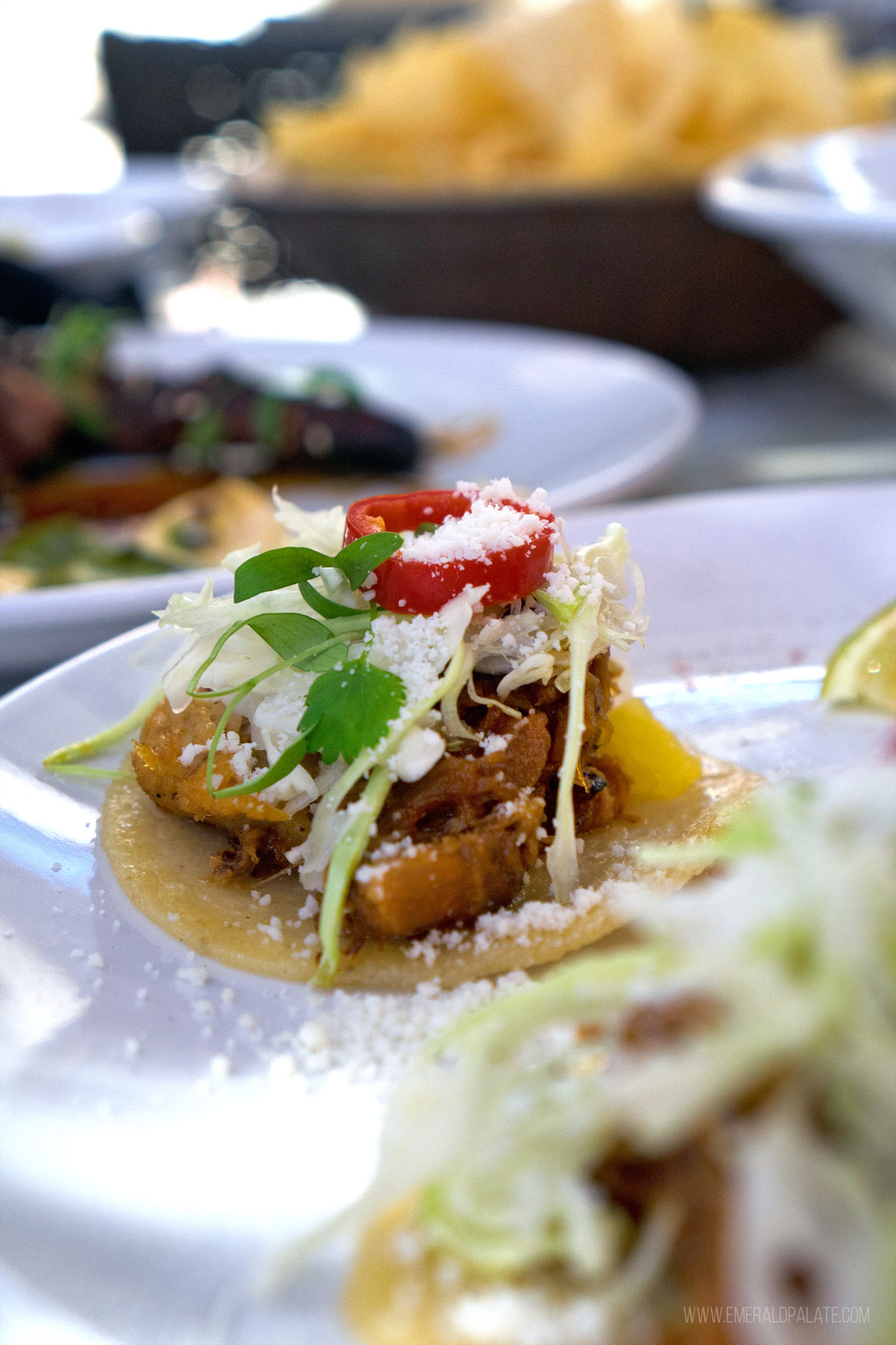 mini pork taco from a cool Scottsdale, AZ restaurant