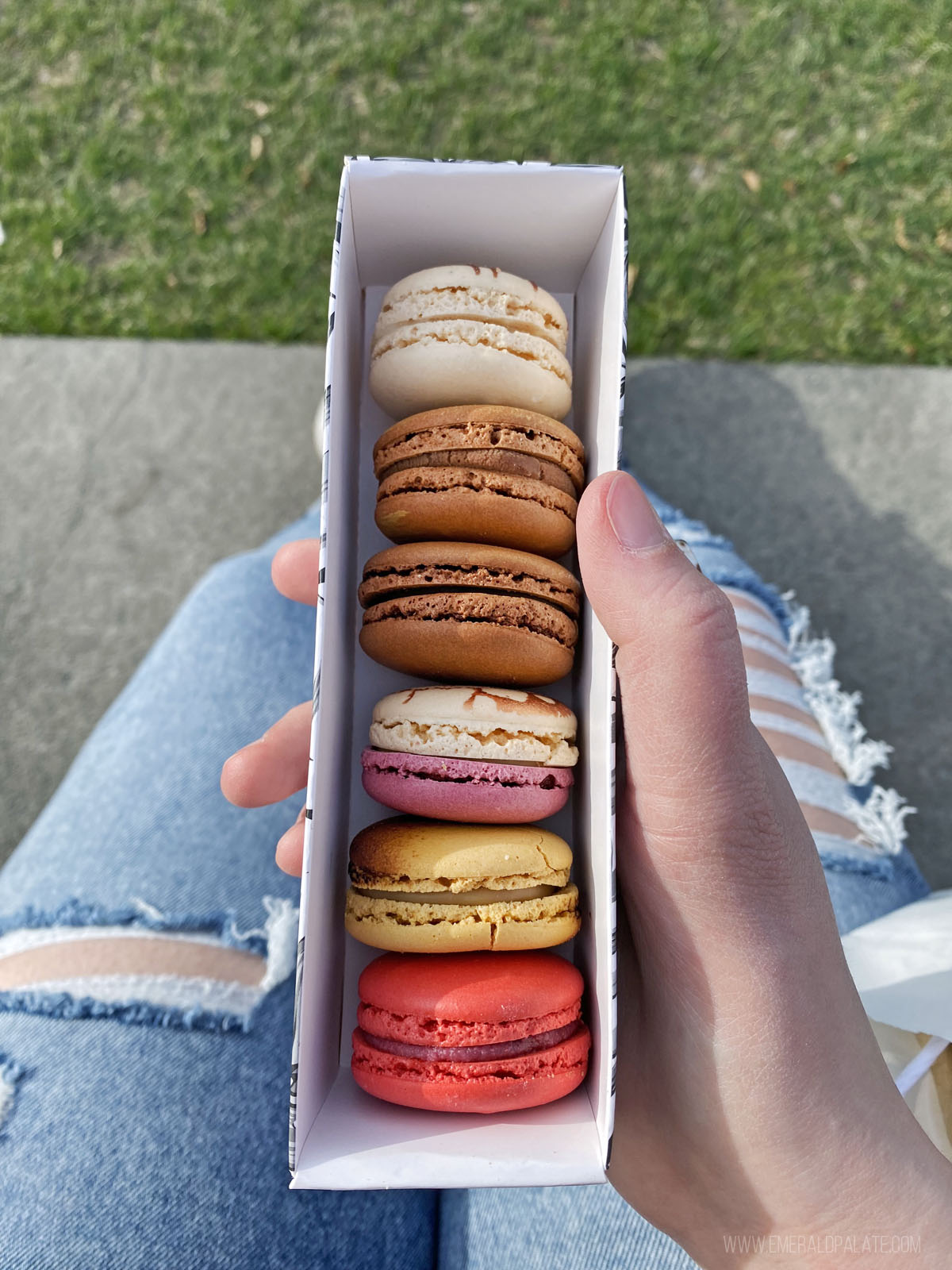 person holding box of colorful macarons