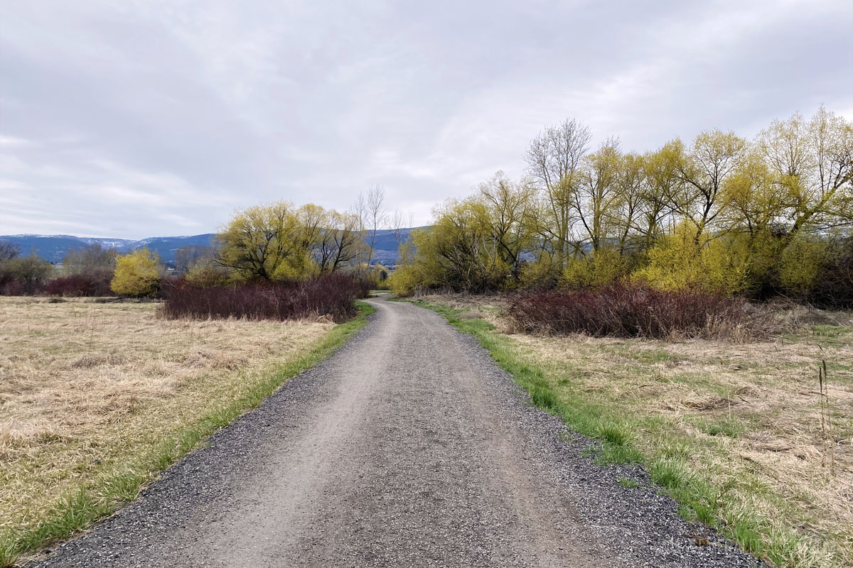 Path in Munson Park, a must visit during your Kelowna BC trip