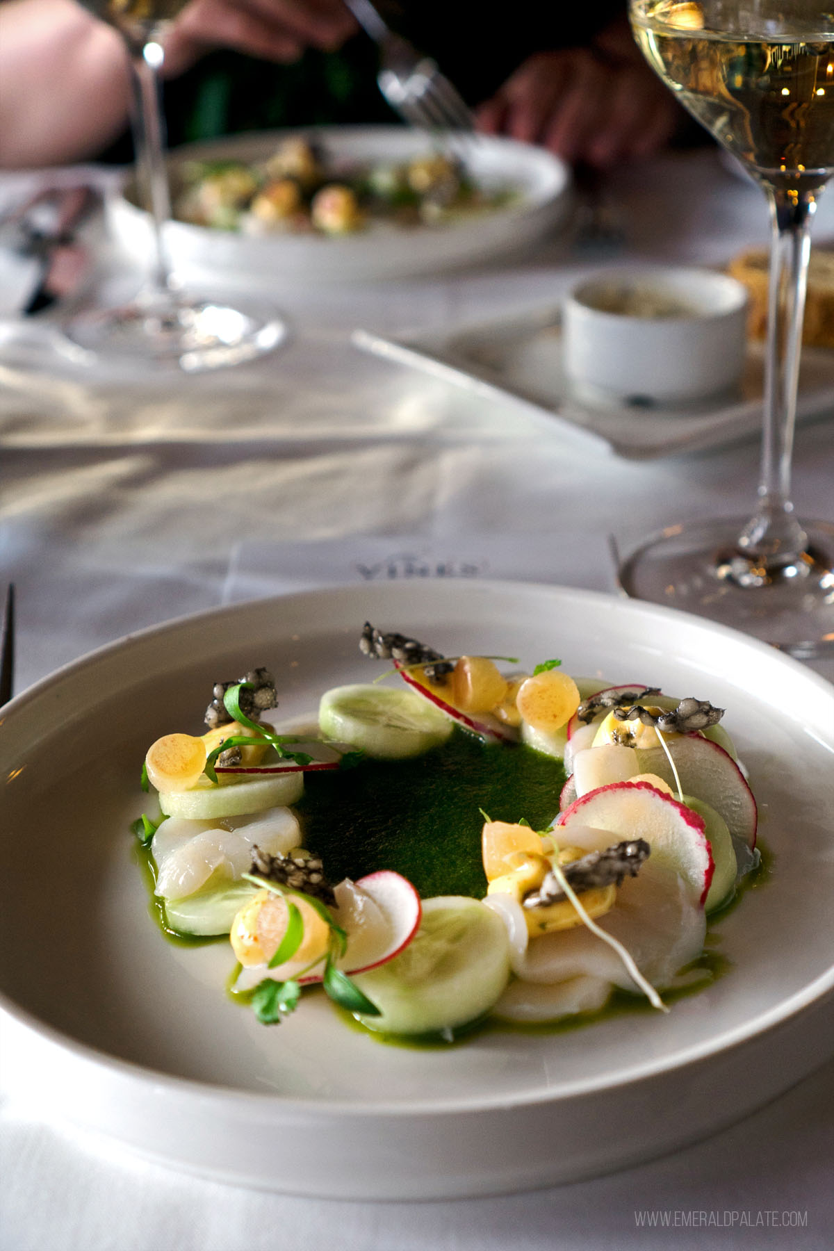 beautiful plate of scallop crudo, melon, and radish artfully arranged on a plate in a circle with pesto in the middle