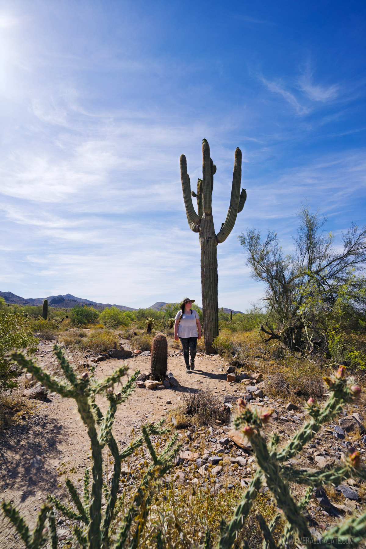 woman hiking in AZ, a must do during 3 days in Scottsdale