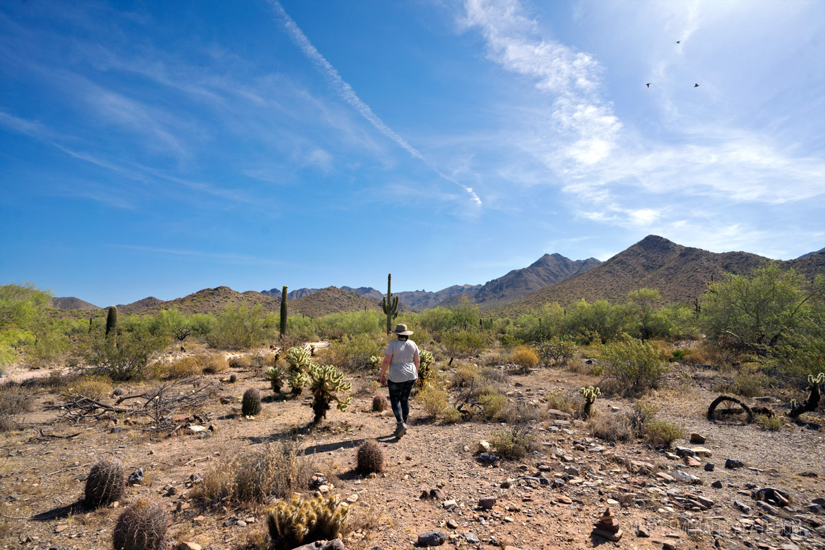 woman hiking in the Scottsdale desert