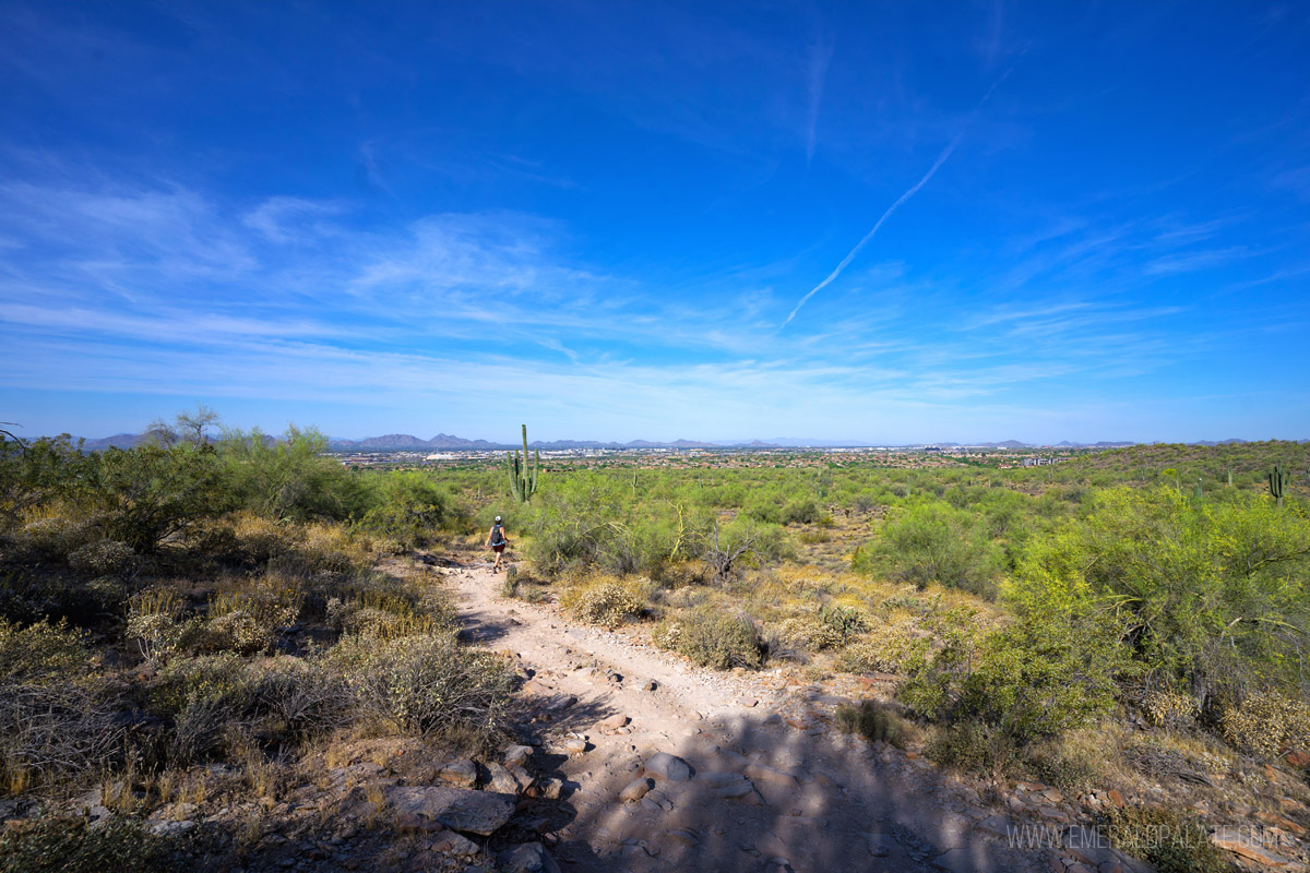 woman hiking at McDowell Sonoran Preserve