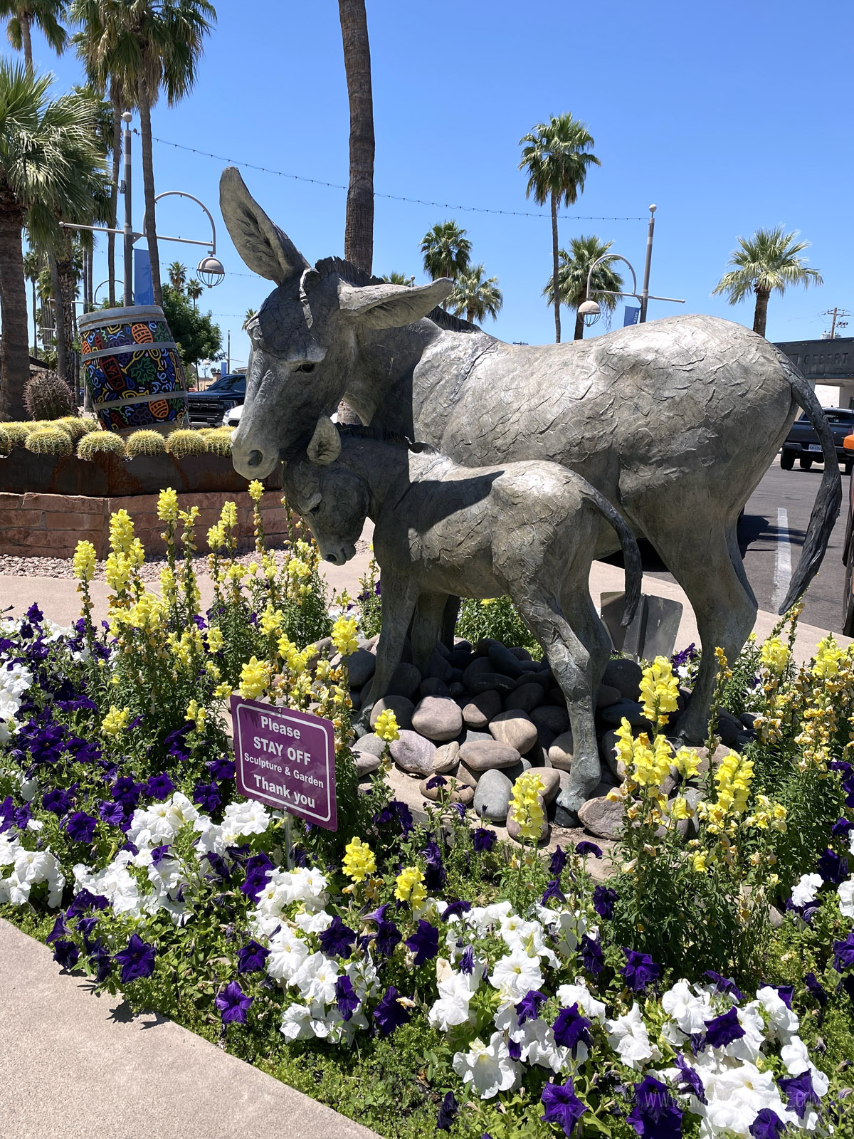 sculpture of a donkey and its baby in Old Town, a must see during your weekend in Scottsdale