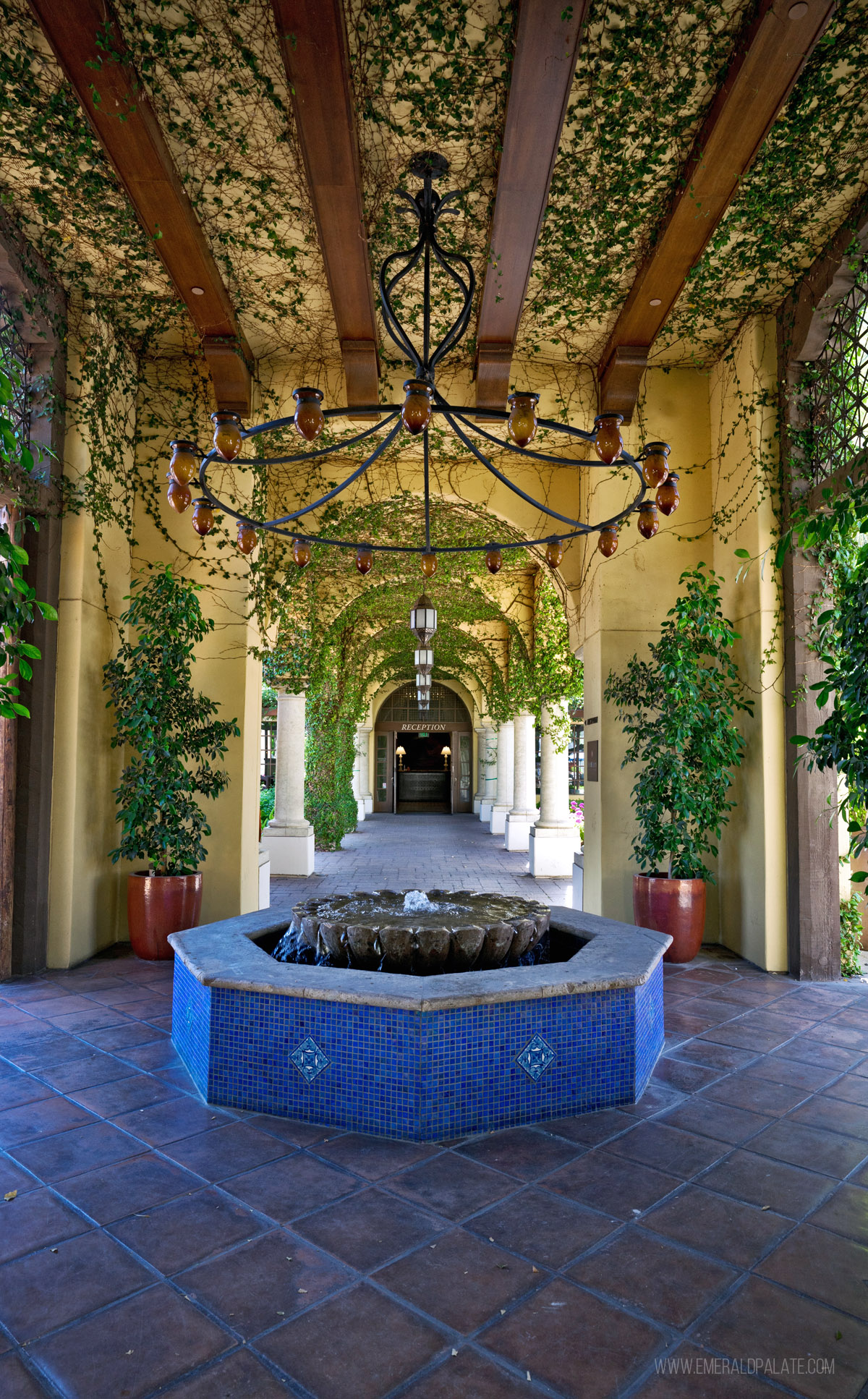 ivy covered hallway in a Scottsdale hotel