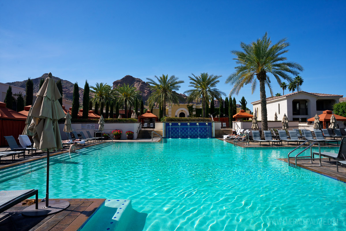 pool at a Scottsdale resort surrounded by palm trees