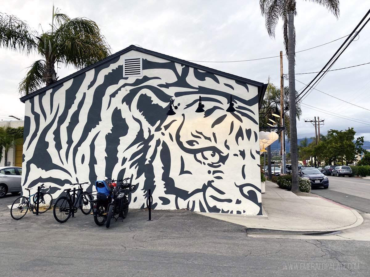 tiger art mural on a building in the Funk Zone, a must visit during your Santa Barbara itinerary