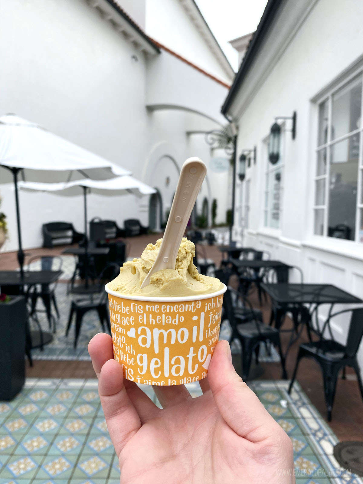 person holding up Tondi Gelato in Santa Barbara