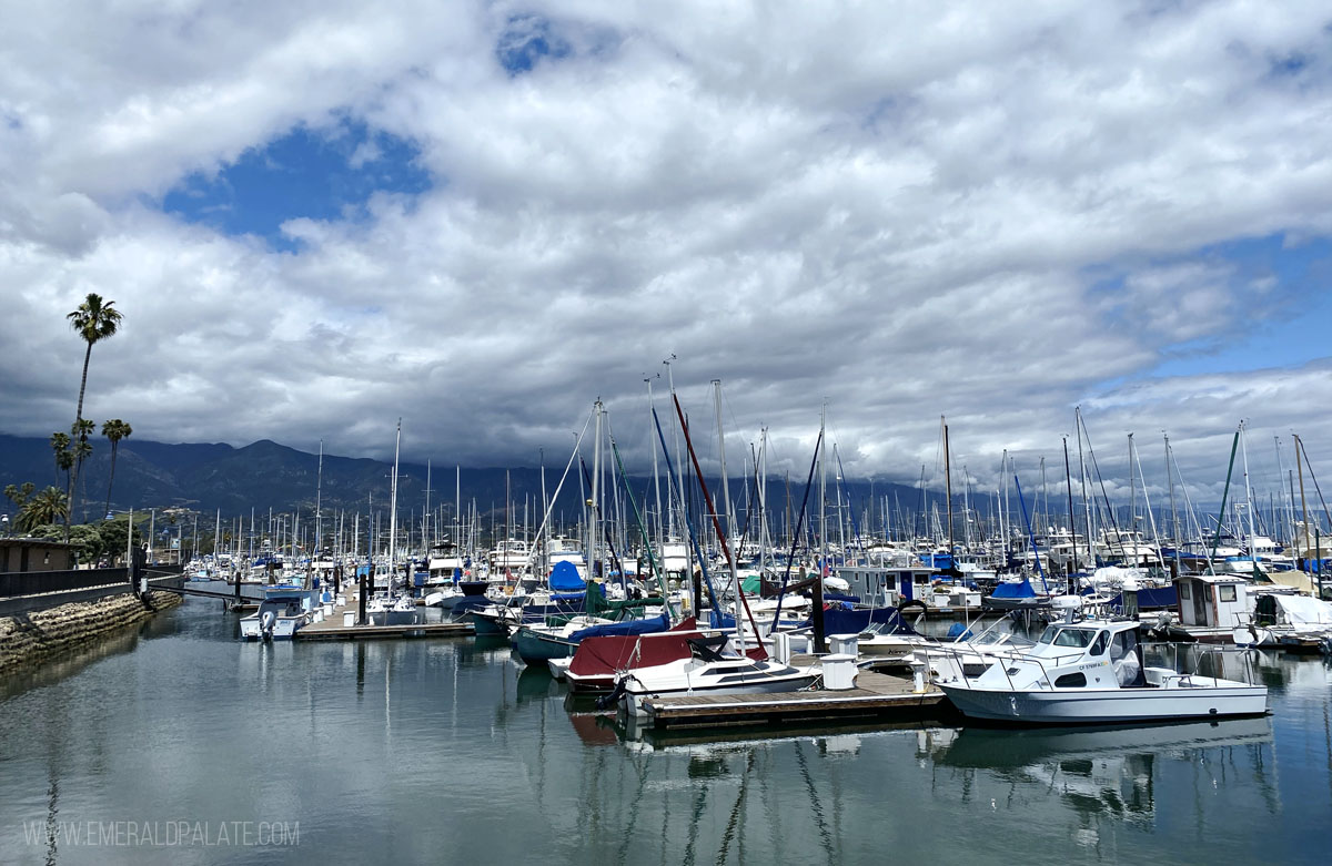 boats on the harbor in Santa Barbara, CA