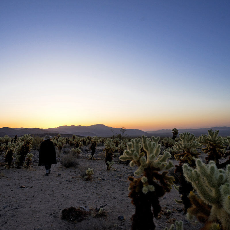 woman walking in cactus garden at sunrise, a must do on a Joshua Tree day trip