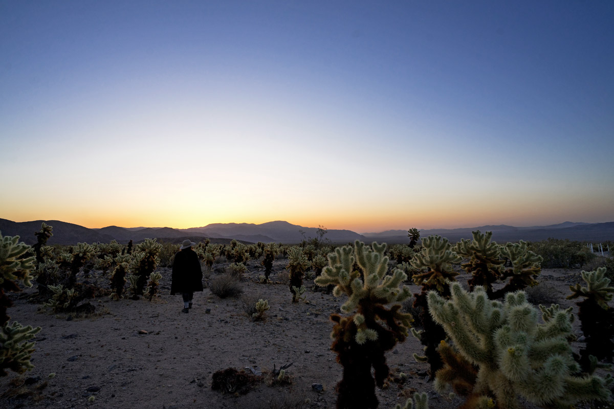 woman walking in cactus garden at sunrise, a must do on a Joshua Tree day trip