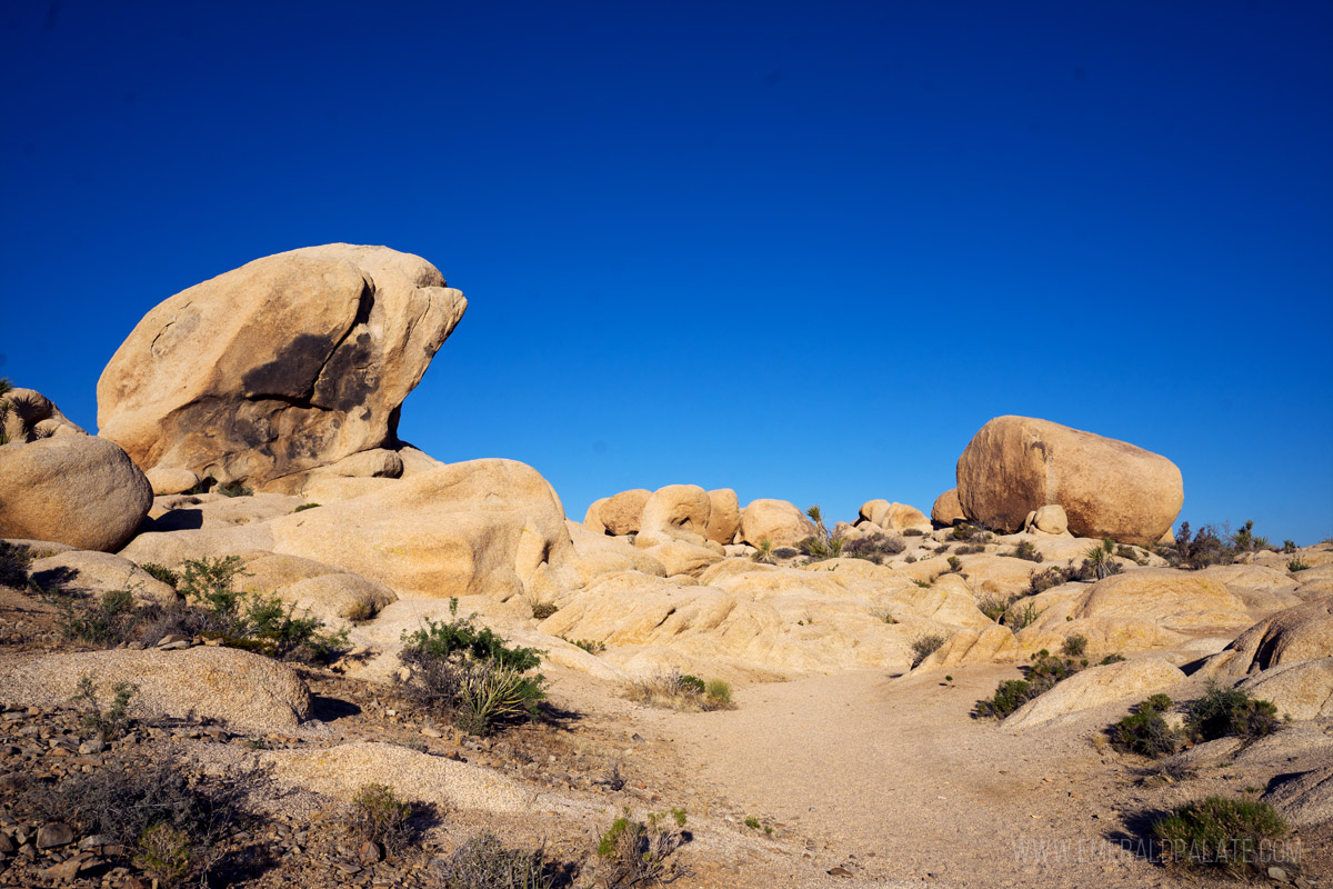 View near Arch Rock