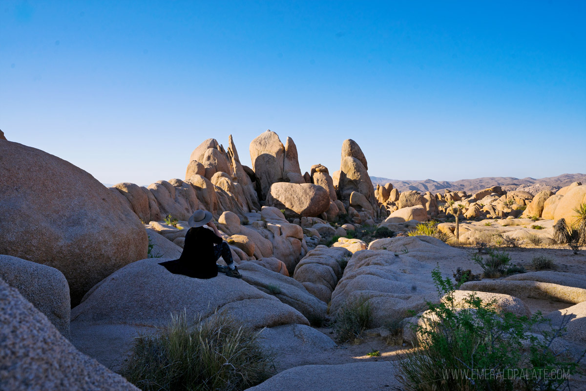 woman sitting on rock formations overlooking Joshua Tree National Park