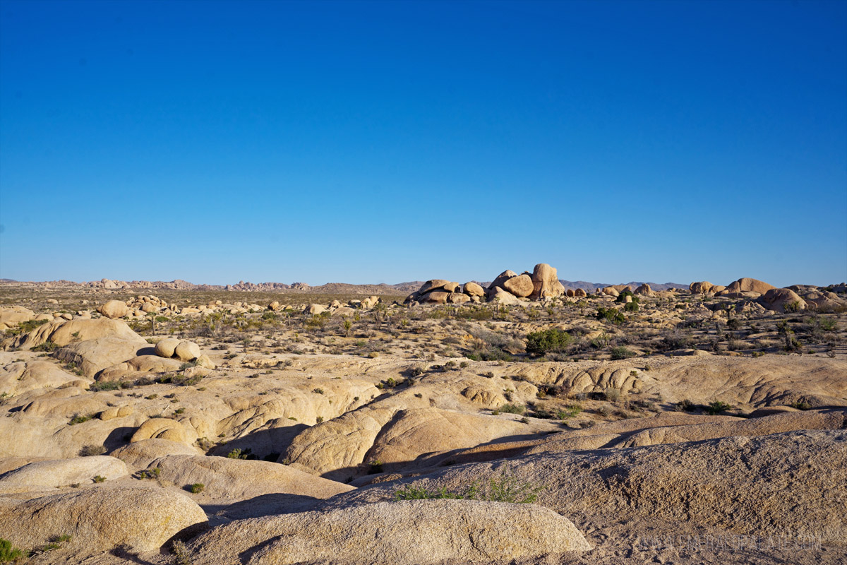 View from Arch Rock hike in Joshua Tree