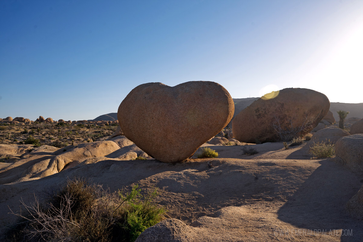 Heart rock in Joshua Tree NP