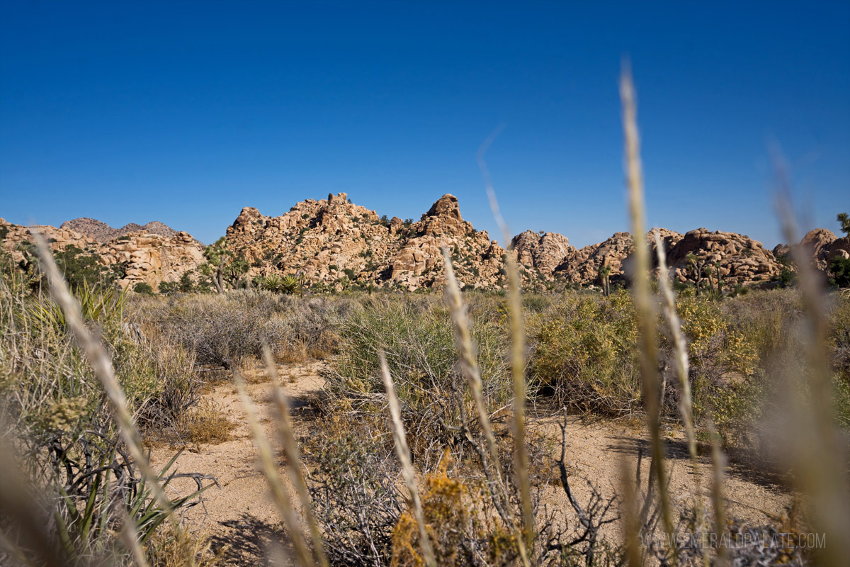 view of rock formations in the distance with grass blurred out in the foreground