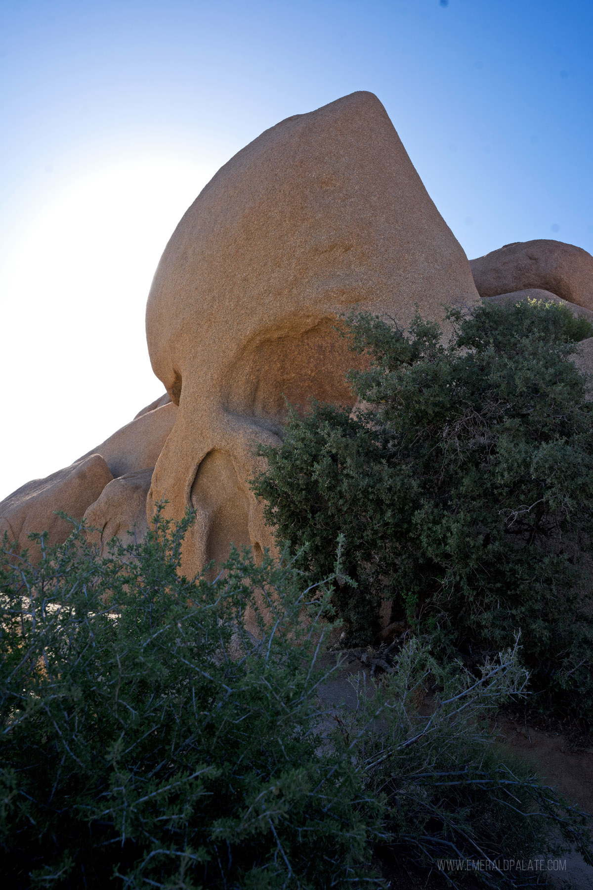Skull Rock, the top tourist attraction you must do on your Joshua Tree day trip