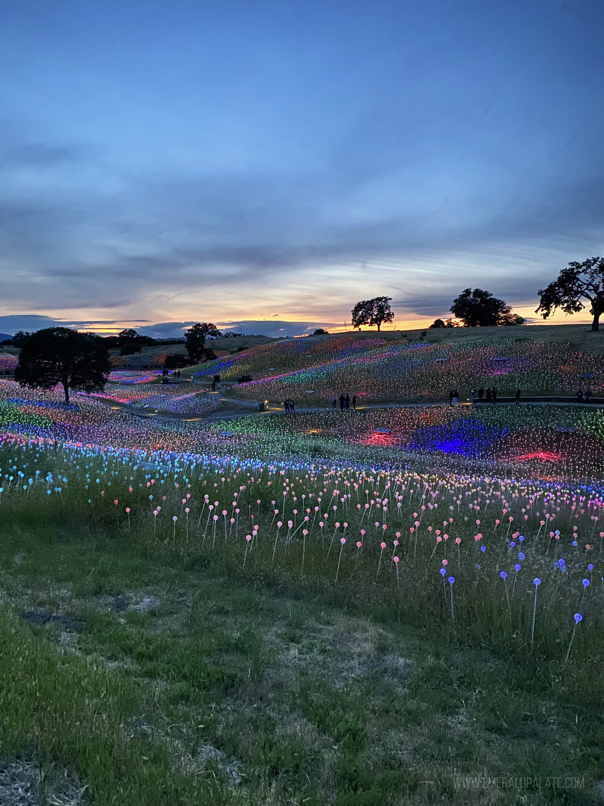 Sensorio at dusk, one of the best things to do in San Luis Obispo