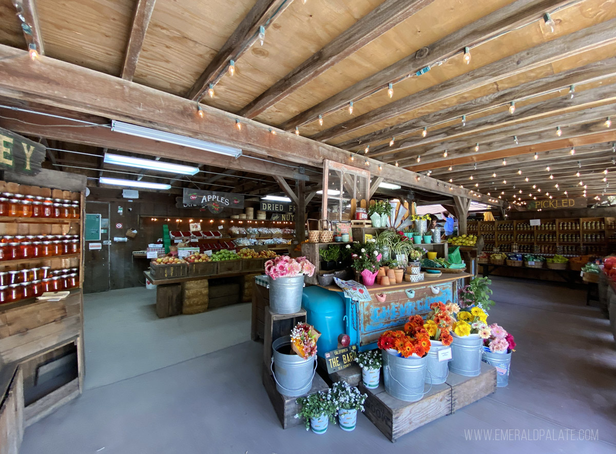 Avila Farm, one of the best things to do in San Luis Obispo