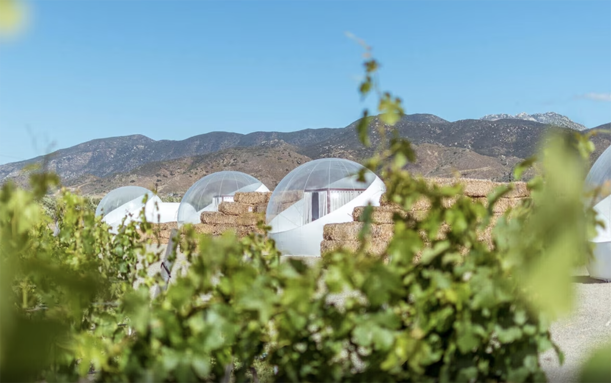 bubble glamping tents in Mexico