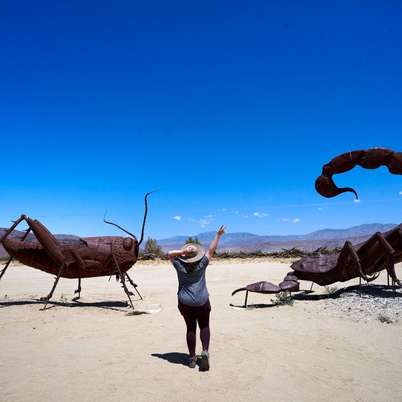 woman giving the peace sign in front of huge insect sculptures, accessible via one of the many San Diego road trips