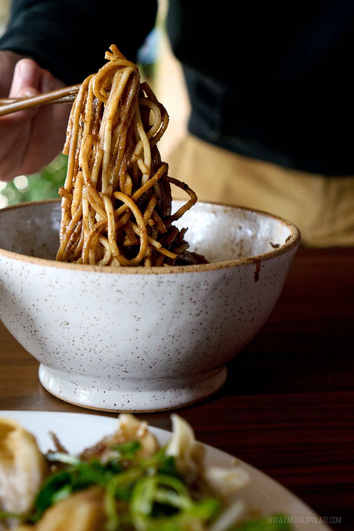 person pulling up noodles with chopsticks