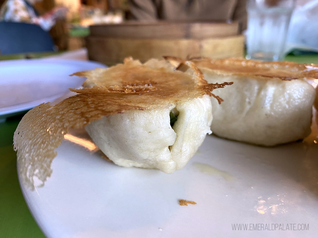 close up of a dumpling from a Seattle Chinese restaurant