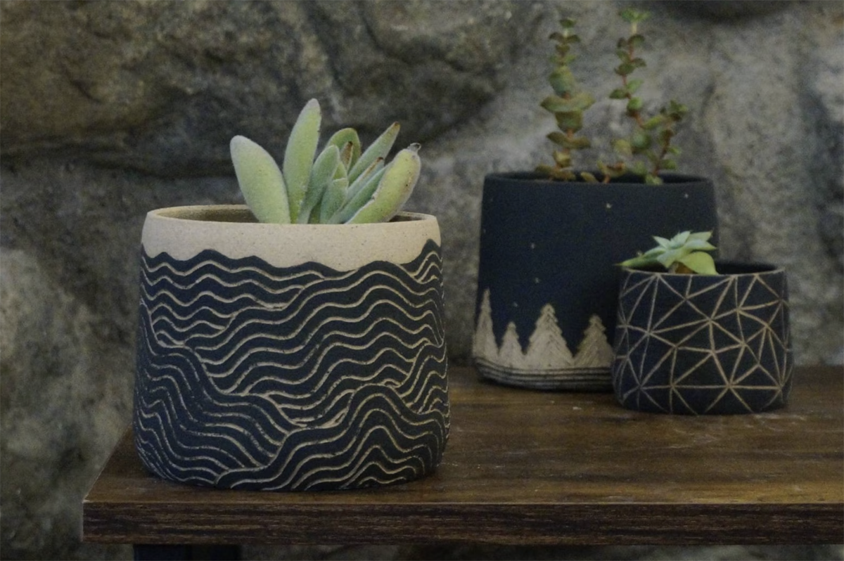 plants from one of the best local pottery artists