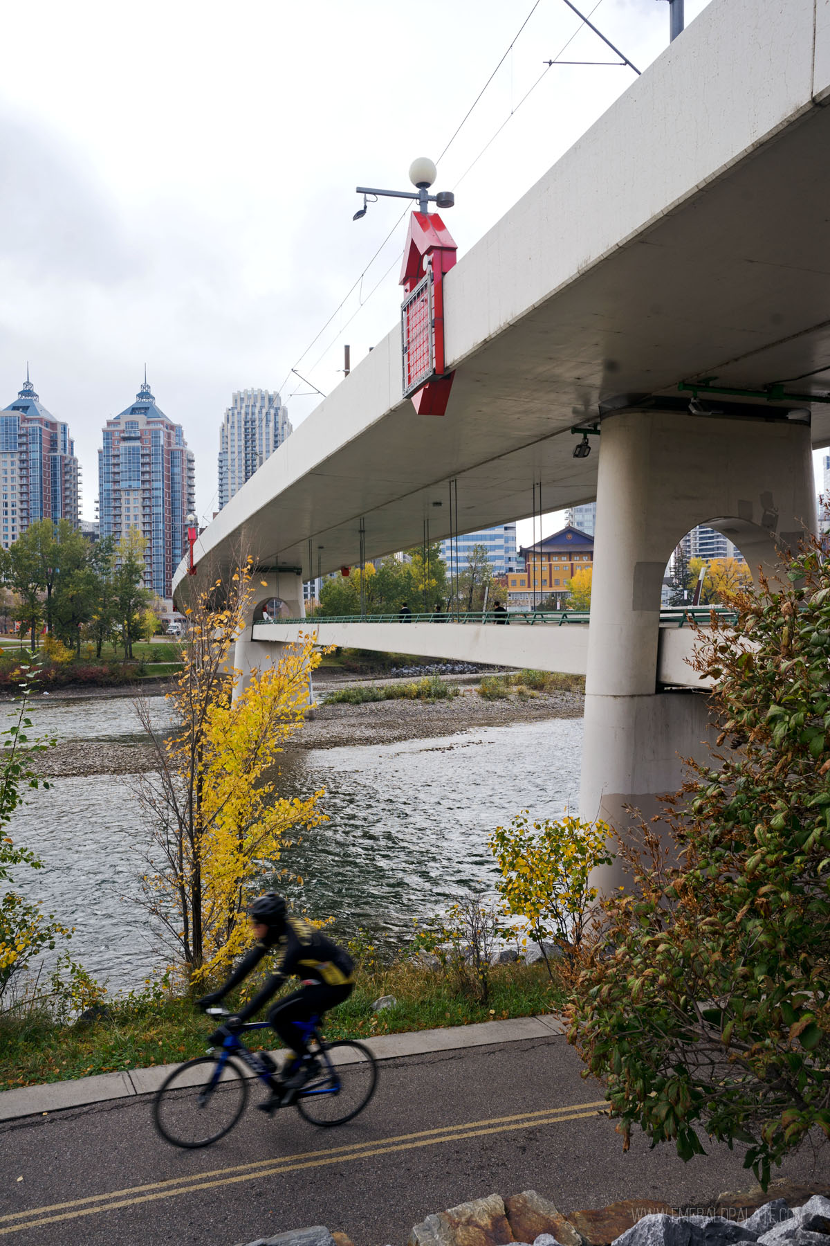 View of biker on path along Bow River under bridge in downtown Calgary
