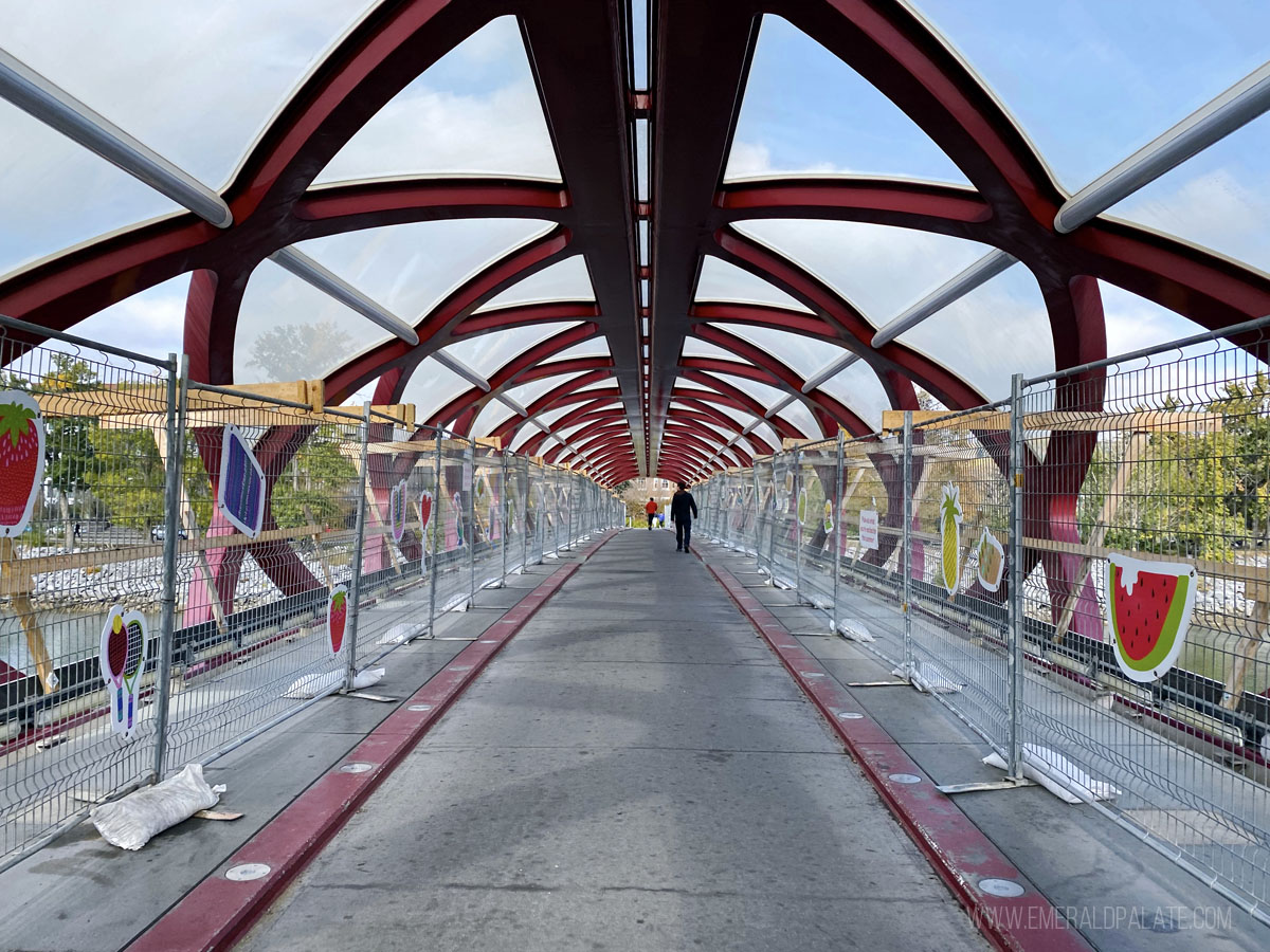 View from on Peace Bridge in Calgary, Alberta Canada