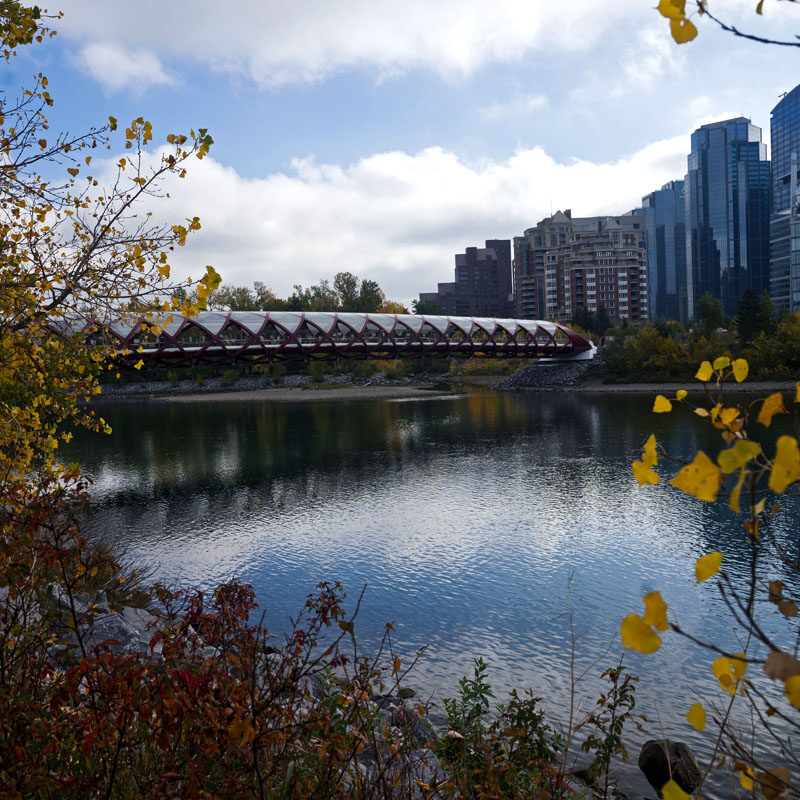 Peace Bridge in Downtown, a must do during your weekend in Calgary