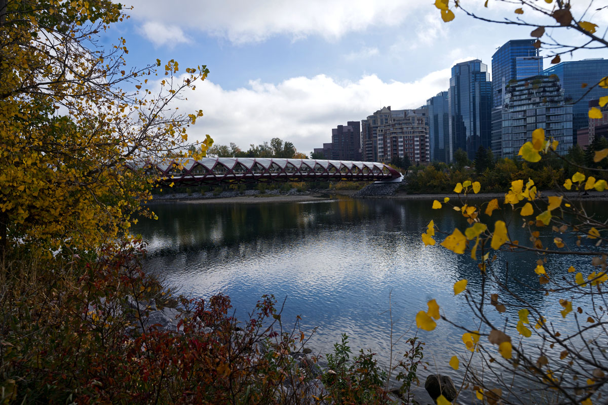 Peace Bridge in Downtown, a must do during your weekend in Calgary