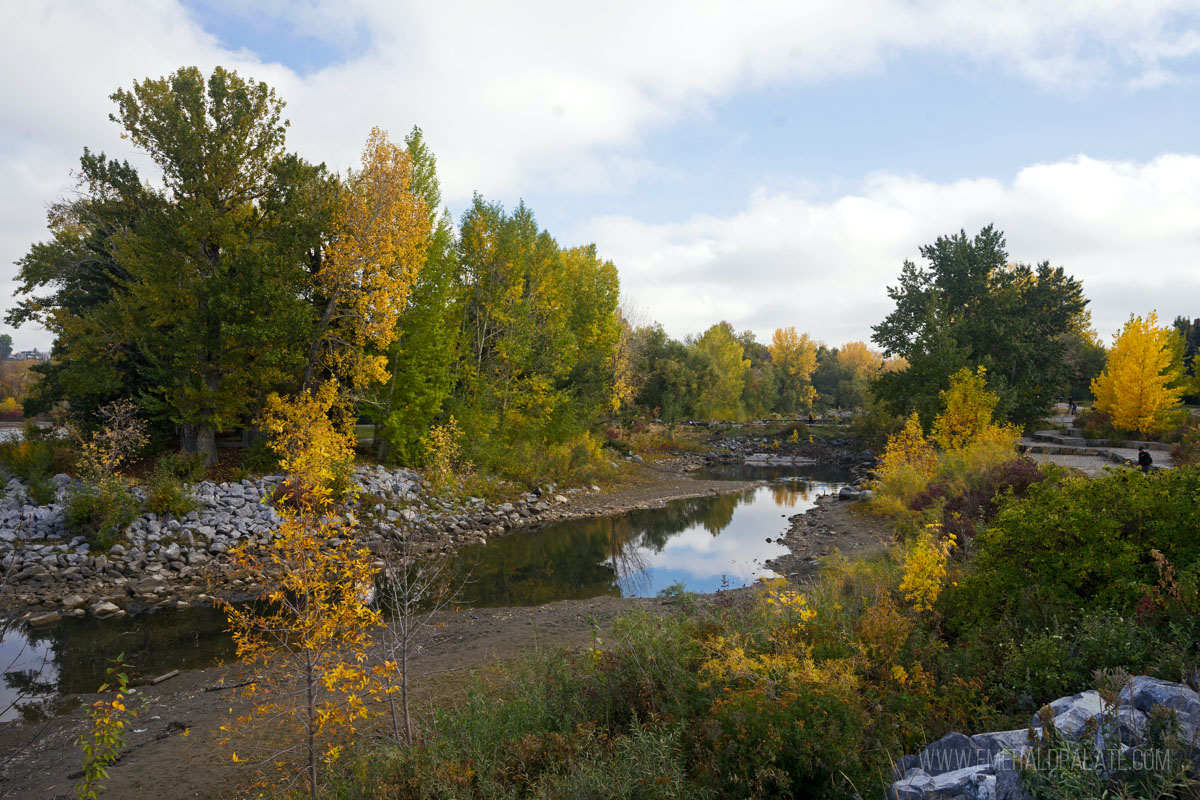 View of Prince's Island Park, a must do during your Calgary weekend itinerary