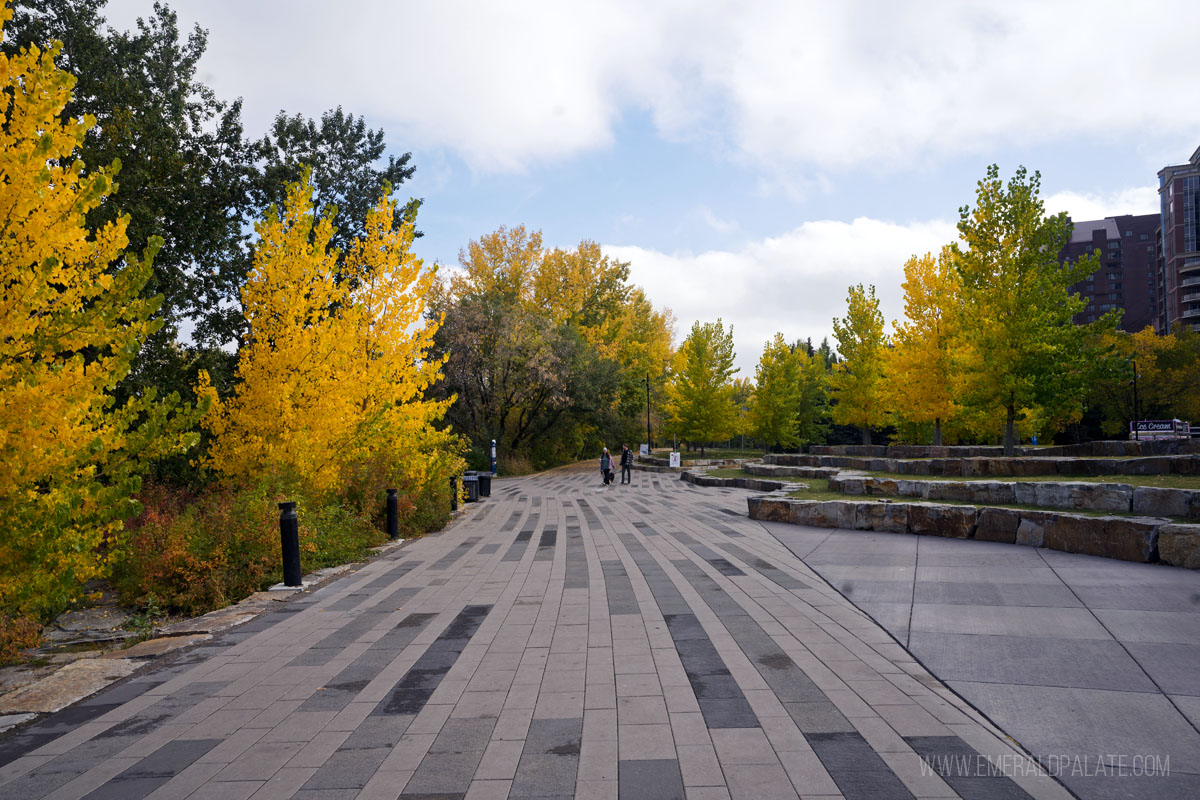 walking path near Prince's Island in Calgary Alberta