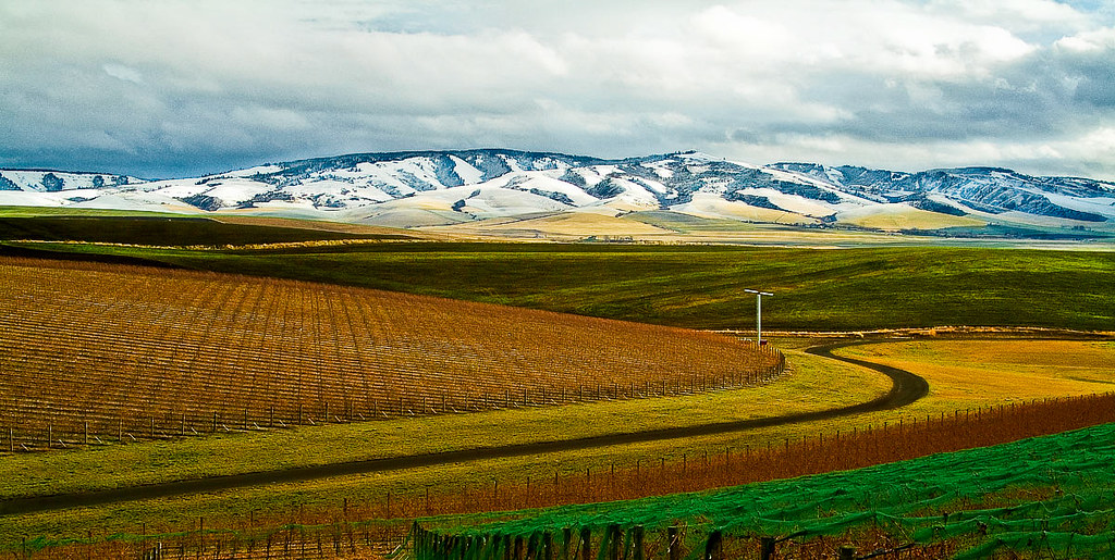 Vineyards and mountains in Walla Walla, one of the most romantic getaways in the Pacific Northwest