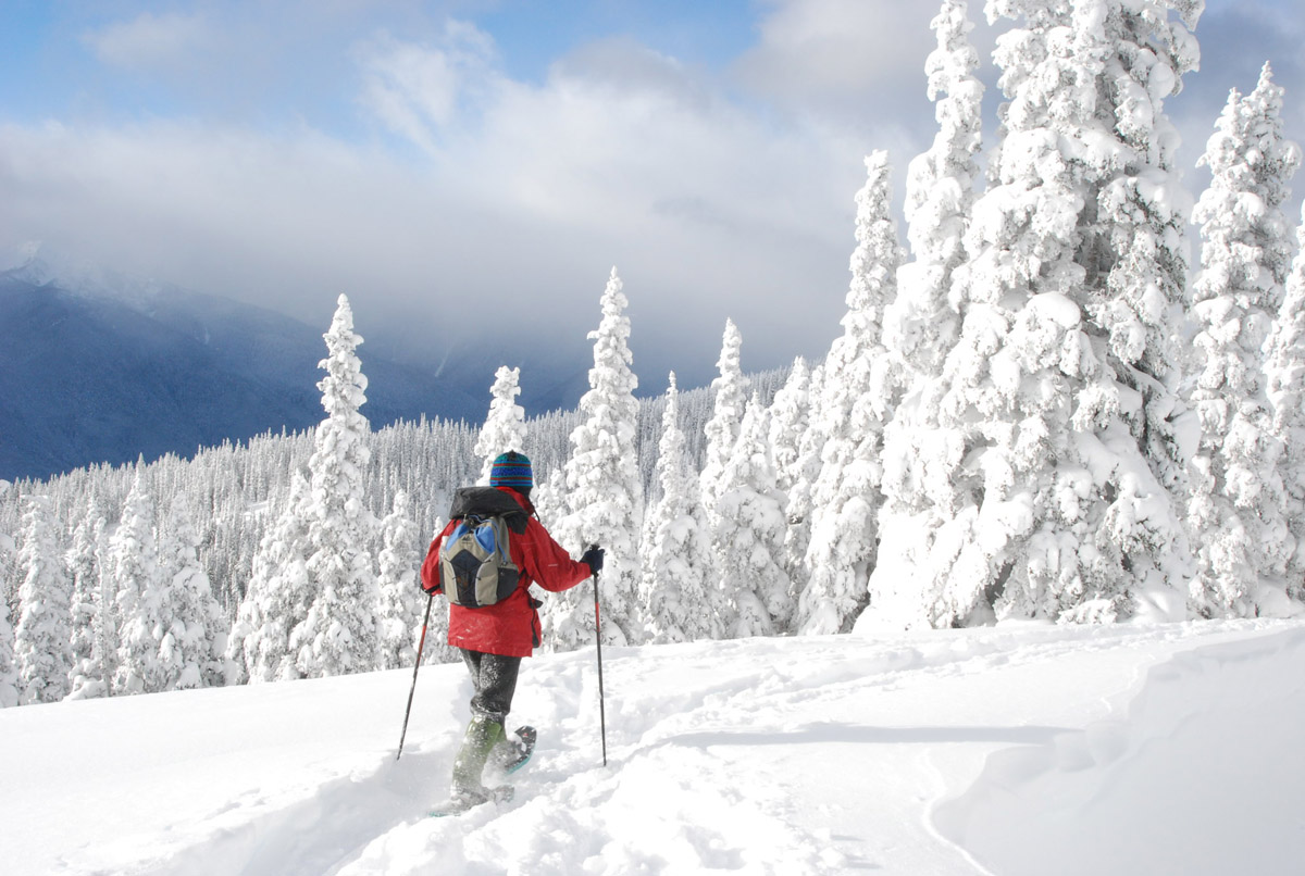 person snowshoeing in Hurricane Ridge at Olympic National Park