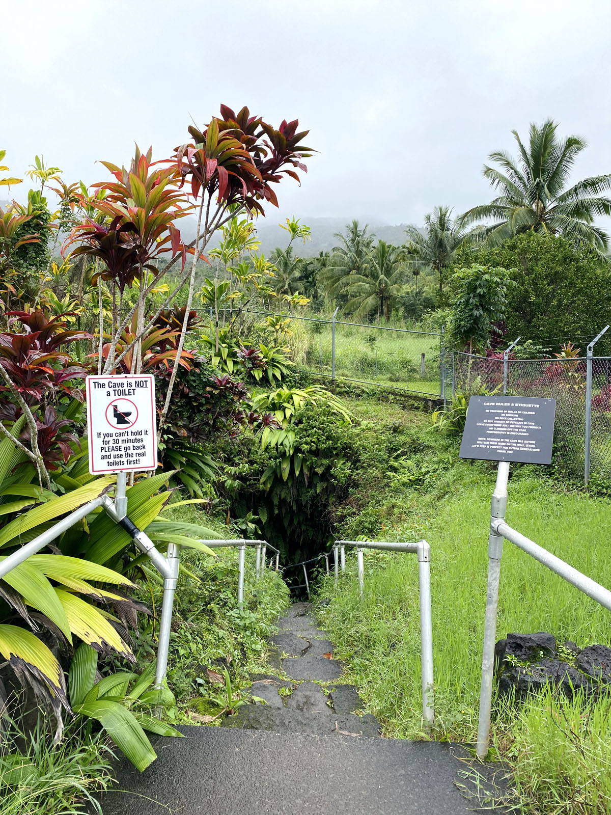 entrance of the Hana Lava Tube