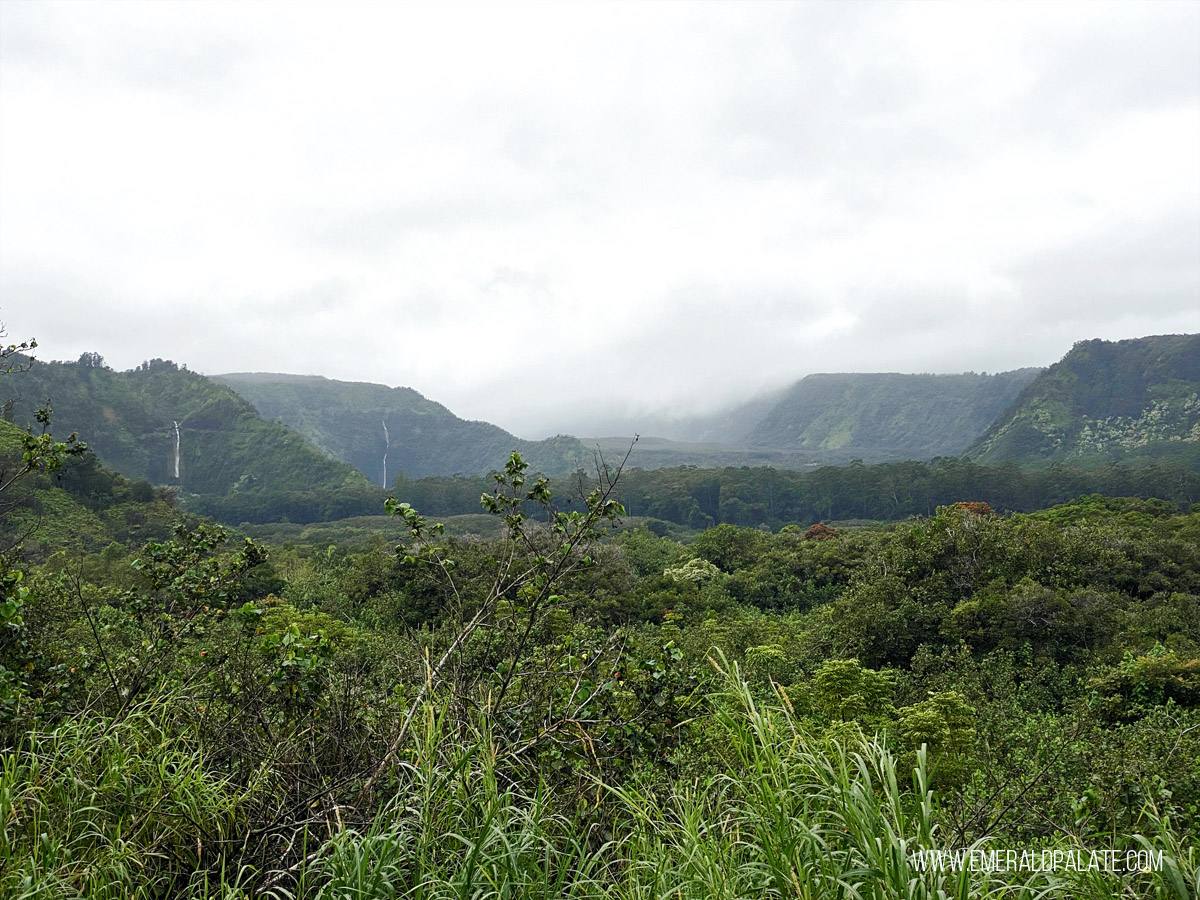 Valley of trees with mountains and waterfalls in the distance